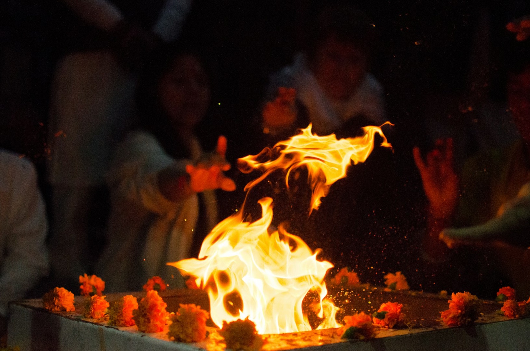 Offerings poured into the sacred fire at a havan in Vrindavan